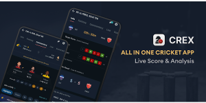 cricket exchange betting